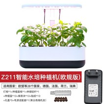 무토재배실 내 스마트종채기 수배채소재배설비 가정식물 화훼재배함 화분, 1번
