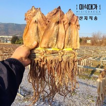 국산 마른오징어 건조 건 말린 오징어, 250g, 1개