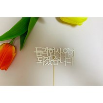 [상견례토퍼] 듬직한 사위가 되겠습니다 [상견례토퍼/생신토퍼/과일바구니토퍼/생일토퍼/기념일토퍼/여행토퍼/레오토퍼]