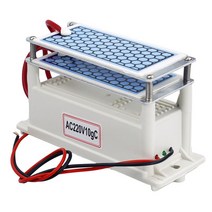 공기 청정기 220V 60 그램/시간 h 공기 청정기 오존 발생기 110V 휴대용 Ozonizador 공기 청정기 Ozonizer, 02 220V 60g