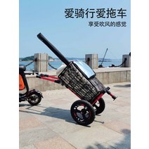 바이크트레일러 자전거트레일러 전기 자동차 트레일러 자전거 후면 장착 캠프 낚시 캠핑 야외 타기 풍선 휠 풀러, [05] H12 공압식 휠 트레일러 [시팅 튜브 링크]