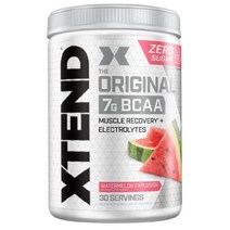 엑스텐드 오리지널 BCAA 파우더 1.22kg 아미노산 3개월분, 30인분(1팩), 수박폭발