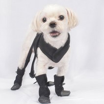 로맨스독 스파이더슈즈 잃어버리지않는 강아지 신발 하네스 세트 반려견 장화, 블랙
