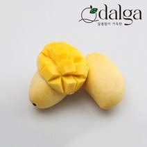 달가 직수입 카라바오 생망고 1kg~3kg, 카라바오 망고 L 4과 1.1kg내외, 1개