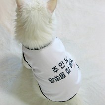 미얌 주인님 말씀을 잘듣자 민소매 면 티셔츠 강아지옷, 화이트