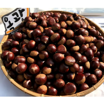 햇밤 부여 유기농 햇알밤 옥광밤 1kg(특) 밤삶는법 밤까기 부여옥광밤 유기농생률밤, 상세페이지 참조