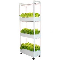가정용 스마트팜 식물 수경재배기 야채 채소재배 상추, 3단 중형