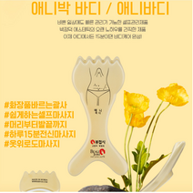 박정덕뷰접시 애니파크 경락도구 마사지기 괄사, 애니파크(바디)