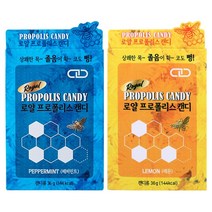 로얄 프로폴리스 목캔디 (페퍼민트맛+레몬맛) 골고루발송, 6ea+마술패치