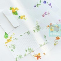 편지지 미니 디자인선택 들꽃 6종, 6.노랑어리연꽃, 상세페이지 참조5