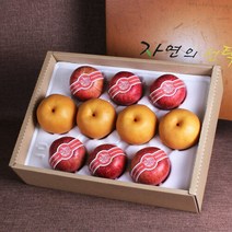 [자연의선택]명품사과 배혼합선물세트4.2kg(사과6입 배4입), 단일속성