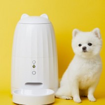페키움 강아지 고양이 자동급식기, 쫑긋 자동급식기