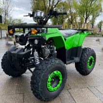 ATV 비치 카 125cc 가솔린 오토바이 크로스컨트리 산악 버기 대륙에서 보물찾기, 기본