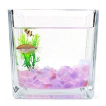 [슬기로운아이템] 거북이키우기 핑크 퍼플 컬러 돌 유리 자갈 250g 어항 꾸미기 구피, SSS[상품_믹스퍼플돌]SSS