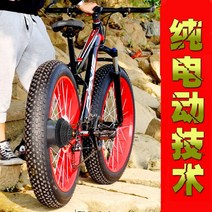 가변 속도 산악 전동 자전거 리튬 배터리 남성 여성 전기 자전거 전동 킥보드 배달 운동 패달 겸용, 48V 20km주행9