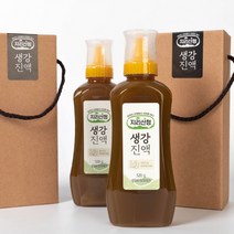 지리산 무농약 생강청 생강원액스틱 생강즙원액 520g, 생강스틱 36포