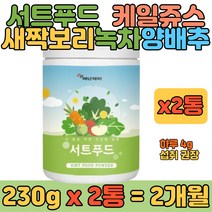 케일 사과 주스 식사 대용 마시는 영양 쉐이크 2통 새싹보리 브로콜리 양배추 당근 울금 재료 혼합 20대 30대 40대 여자 여성 남자 남성 마시는 식품 추천