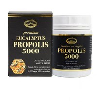 호주 네이쳐스탑 유칼립투스 프로폴리스 5000mg 120정, 1개, 5000mg  120정