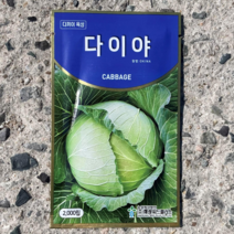 양배추종자 2 000립 /한국다끼이/다이야 품종정품