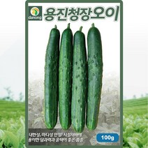 용진청장 오이 씨앗 오이 씨 종자 50립, 1개