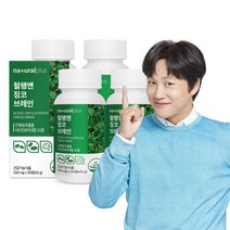 내츄럴플러스 혈행앤 징코 브레인 90정 / 기억력 혈행개선 은행잎추출물, 4박스