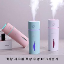병원 사무실 차량 LED 탁상용 USB 가습기 정전기방지, SLJ001 핑크