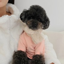 페시얌 따뜻한 보아털 강아지 목도리 악세사리 2oclor, 1개, 아이보리-XL