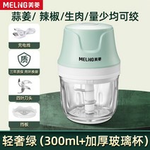 전동 야채다지기 마늘다지기 이유식 고기 만능 양파 고추 분쇄기 채소 다지는 가는 기계 메링 다용도 식육조리기 가정용 소형요리기 깨진육신기로 소 믹서기, 05 300ML유리【신상급 파워클로버살마늘】