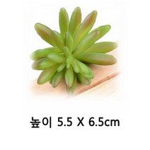 다육이 조화 다육 (소)- 1번 1개 인조 인테리어 선인장 조화다육이