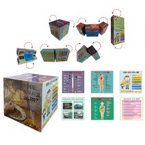 금연금주교육 금연 금주큐브 흡연음주예방 금연캠페인 금연교구