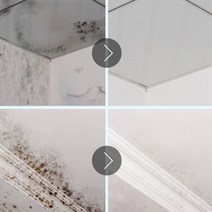 편백수 피톤치드 살균제 탈취효과 의류 이불 소파 간편욕실청소 벽면, 1개, 편백수 500ml