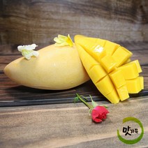 맛가득 골드망고 항공 애플망고 대과 태국 브라질 필리핀 코끼리 무지개 미니 최상품, 애플망고(항공) 페루산 6과 4Kg 최상