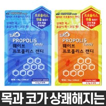 웨이브 프로폴리스캔디(페퍼민트/레몬맛) 8정 x 5통 목건강 목캔디 목앤코 캔디, 레몬맛 5개(4.5g X 40개입)