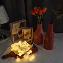 인블룸 왕방울빅볼 LED 앵두전구 40구, 상세페이지 참조