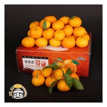 서귀포 하례마을 노지감귤 5kg (혼합과 2S-2L 실중량)