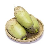 한아름드린 [익산원예농협] 신선 무 5kg, 1