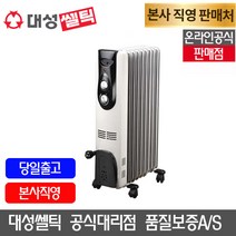 대성쎌틱 S라인 가정용 전기 라디에이터, DSRA-7