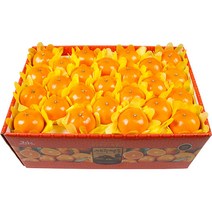 농장직송 고당도 천혜향 3kg 5kg 10kg, 1박스, 천혜향 10kg 대(46~54과)