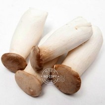 2kg 꽃송이버섯 버섯 송화고버섯 송화버섯 표고버섯 박스 특품 느타리 양송이 자연산 새송이버섯 벌크, 단품, 단품