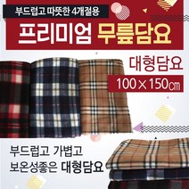 프리미엄 무릎 담요 항공 미니 휴대용 극세사