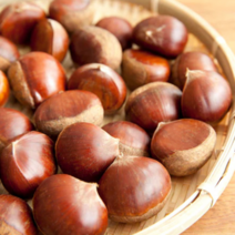 알밤 공주알밤 공주밤 부여 햇밤 생밤 정품 대 특대 1kg 2kg, 대 1kg, 1개