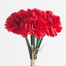 어버이날 카네이션 FF 조화 꽃 부쉬 번들 모음 1, F06.홀리카네이션번들(9개입) 24cm, (사은품제외), 레드