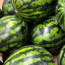 [더조은푸드] 하우스 달큰 꿀수박 3-4kg