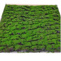 이끼 테라리움 비바리움 코쿤 매트 벽 바닥 태라리움, 커피 에코 100x100 cm