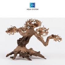 1300K 모스트리 분재유목S M500