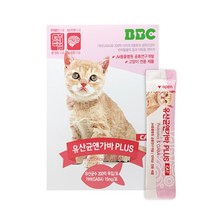 비비씨 온가족 영양제 여성 프리바이오틱스 강아지 고양이 유산균 모음, 1개, 고양이 유산균앤가바 1개월