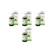 에센셜 오일 10ml Biofloral geranium rosat cv bourbon, 4팩