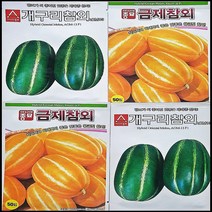 개구리 참외 씨앗 종자, 개구리참외 50립