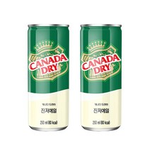 캐나다드라이 진저에일 250ml, 10개