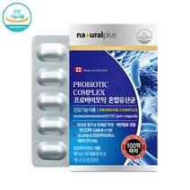 락토바실러스플란타럼 락토바실러스 가세리 바이크로바이옴 모유유래 플란타룸 유산균 프로바이오틱스 분말 가루 알약 정 캡슐 식약처 식약청 인증, 1박스(2개월분), 1개